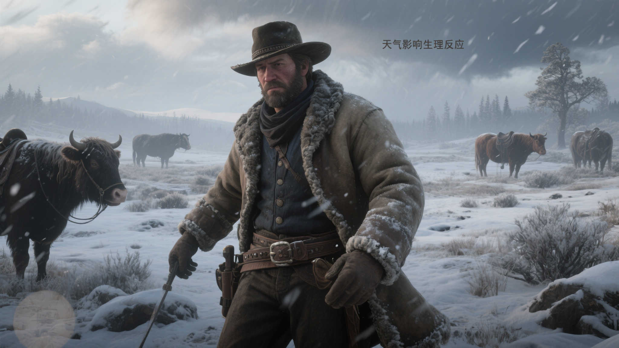 LOL全球总决赛介绍